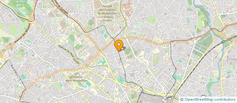 localisation de l'entreprise MADAME CARINE CONFALONIERI à MONTPELLIER