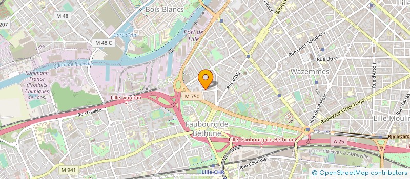 localisation de l'entreprise MADAME CARINE DELEBARRE à LILLE