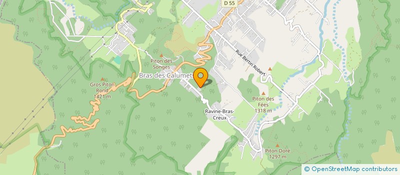 localisation de l'entreprise MADAME CARINE EVAN  LA PLAINE-DES-PALMISTES