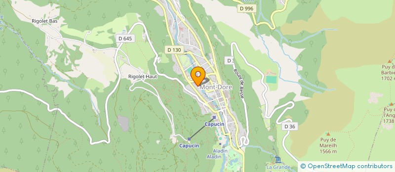 localisation de l'entreprise MADAME CARINE JEANNETON  MONT-DORE