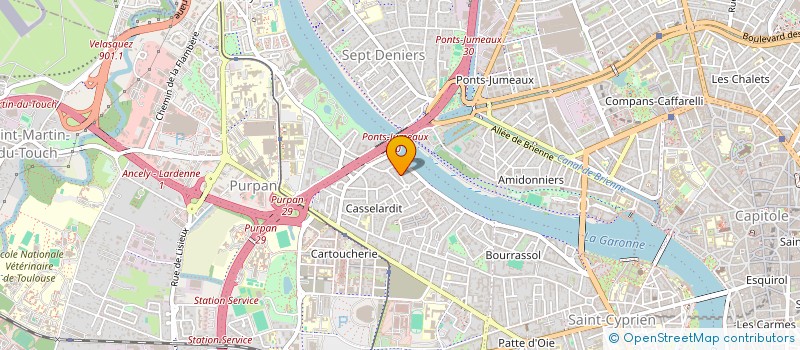 localisation de l'entreprise MADAME CARINE MASONI  TOULOUSE