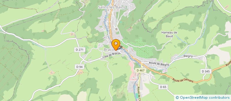 localisation de l'entreprise MADAME CARINE MILLET  BRACON