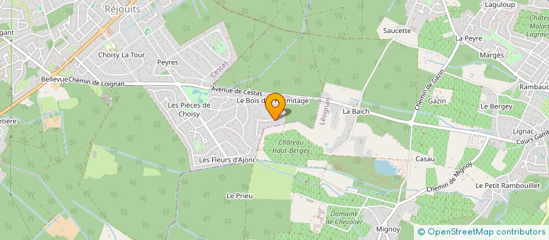 localisation de l'entreprise MADAME CARINE MORISSET  CESTAS