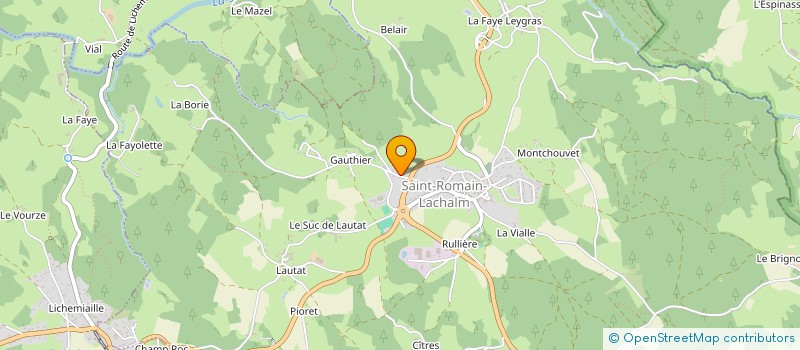 localisation de l'entreprise MADAME CARINE PUICHAFRAY à SAINT-PAL-DE-MONS