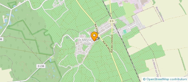 localisation de l'entreprise MADAME CARINE THOMAS  LE MESNIL SUR OGER