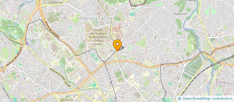 localisation de l'entreprise MADAME CARLA ADRIANA SOARES E SILVA à MONTPELLIER