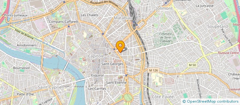 localisation de l'entreprise MADAME CARLA BARNILI à TOULOUSE