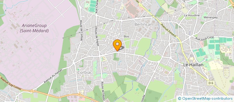 localisation de l'entreprise MADAME CARLA CERCHIO  SAINT-MEDARD-EN-JALLES