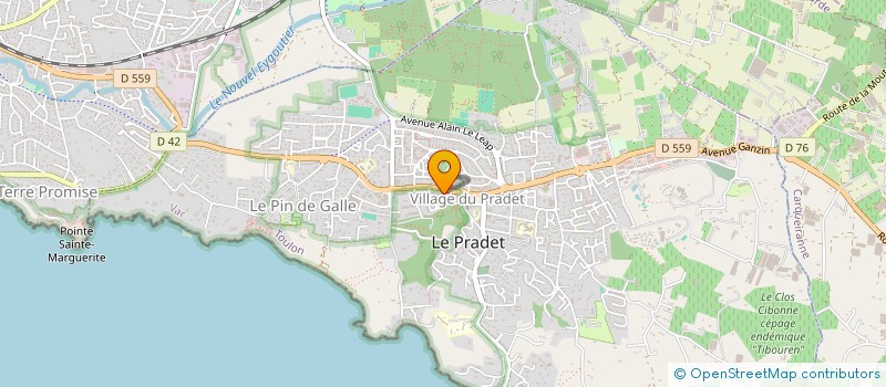 localisation de l'entreprise MADAME CARLA DAVID  LE PRADET