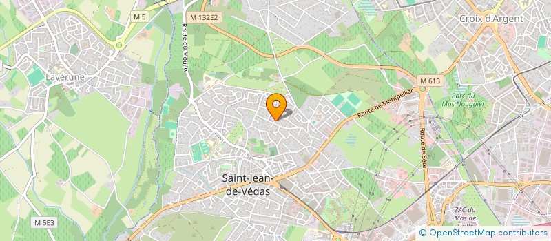 localisation de l'entreprise MADAME CARLA DIAS  SAINT-JEAN-DE-VEDAS