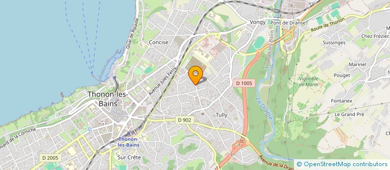 localisation de l'entreprise MADAME CARLA MARTINS GONCALVES DA SILVA à THONON-LES-BAINS