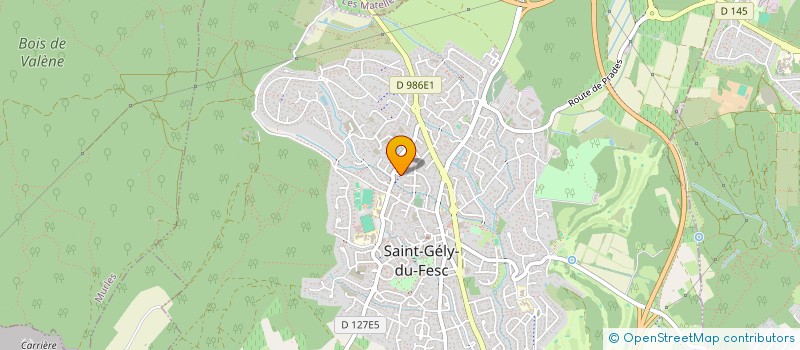 localisation de l'entreprise MADAME CARLA RICHARD  SAINT-GELY-DU-FESC