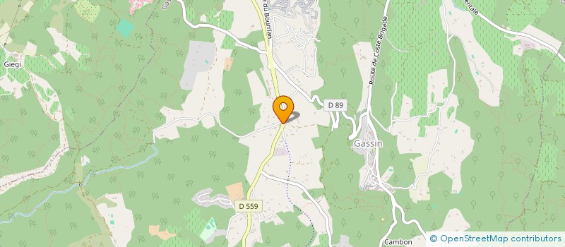 localisation de l'entreprise MADAME CARLA SOFIA BRANCO PIRES  GASSIN