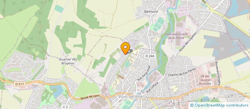 localisation de l'entreprise MADAME CARMELA TURZO  PONT-DE-CHERUY