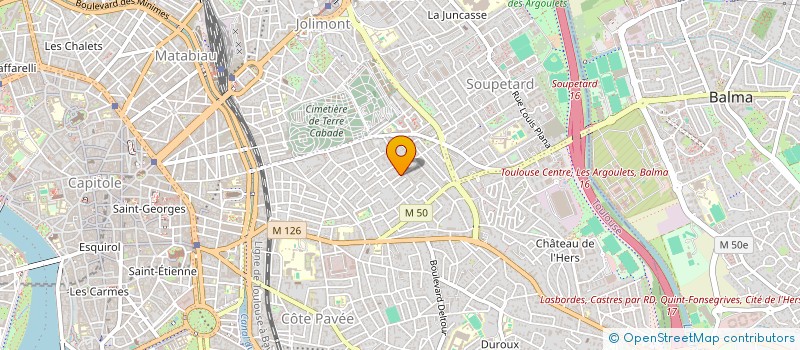 localisation de l'entreprise MADAME CARMELA VIVIANI à TOULOUSE