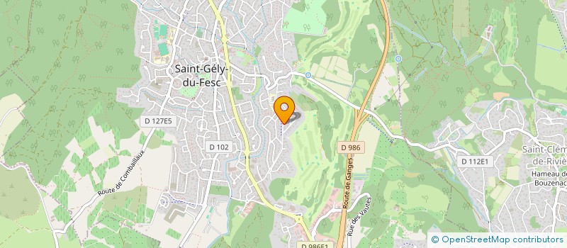 localisation de l'entreprise MADAME CARMEN BABEU  SAINT-GELY-DU-FESC