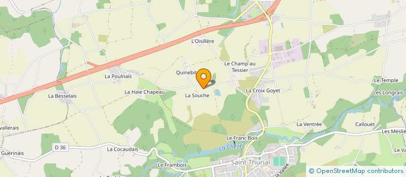 localisation de l'entreprise MADAME CARMEN CHEVILLARD  SAINT-THURIAL