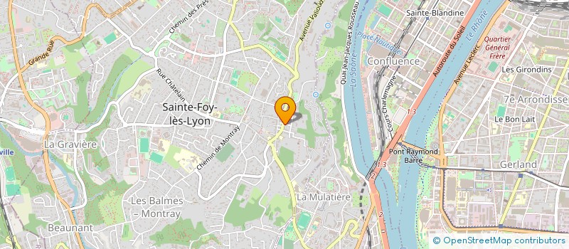 localisation de l'entreprise MADAME CARMEN GONGORA  SAINTE-FOY-LES-LYON