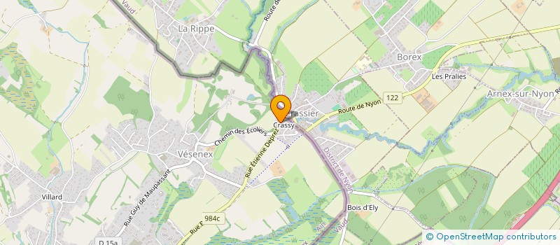 localisation de l'entreprise MADAME CARMEN MARTINEZ-OLIVO  DIVONNE-LES-BAINS