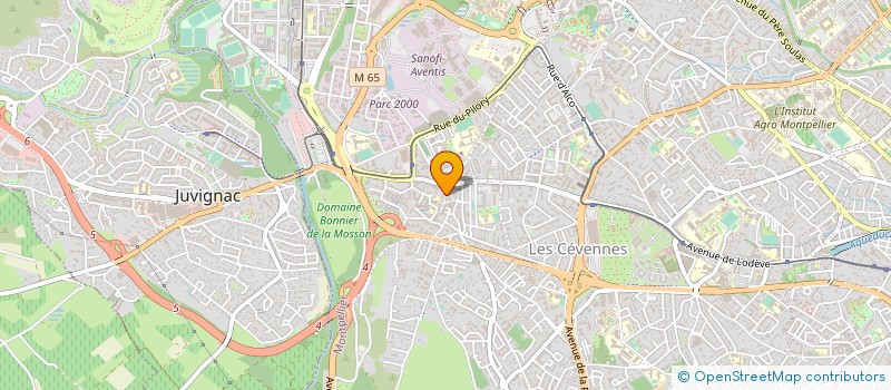 localisation de l'entreprise MADAME CARMEN OCHEA  MONTPELLIER
