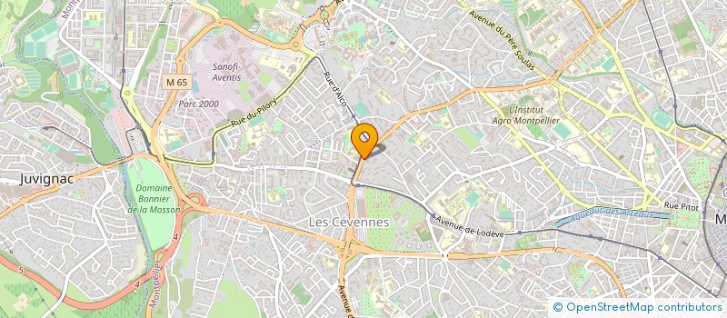 localisation de l'entreprise MADAME CARMEN WEHBE à MONTPELLIER