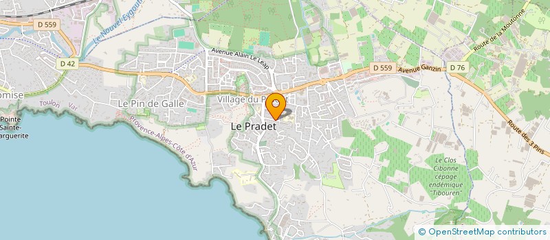localisation de l'entreprise MADAME CAROL GIRARDI à LE PRADET