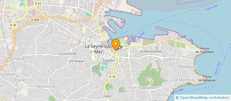 localisation de l'entreprise MADAME CAROL NORTIER à LA SEYNE-SUR-MER