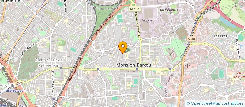 localisation de l'entreprise MADAME CAROLE BROUSSE  MONS-EN-BARUL