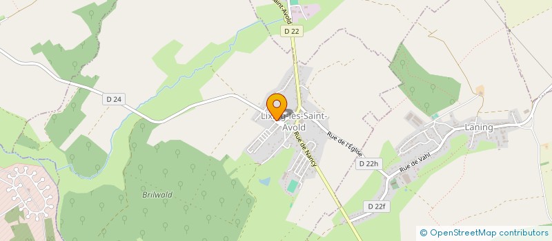 localisation de l'entreprise MADAME CAROLE CARL  LIXING-LES-SAINT-AVOLD