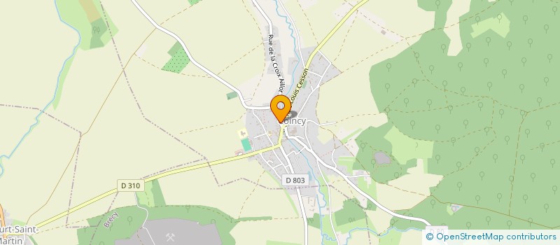 localisation de l'entreprise MADAME CAROLE CHAPPERT  COINCY