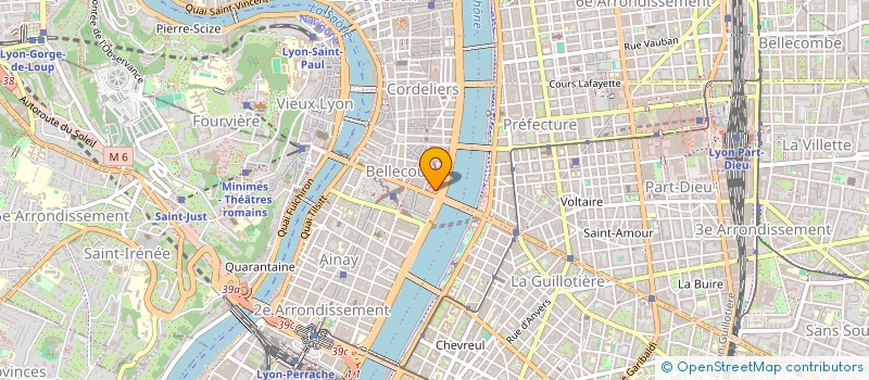 localisation de l'entreprise MADAME CAROLE DESSUS  LYON