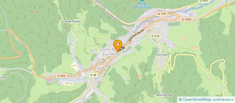 localisation de l'entreprise MADAME CAROLE HAMM  SAINTE-MARIE-AUX-MINES