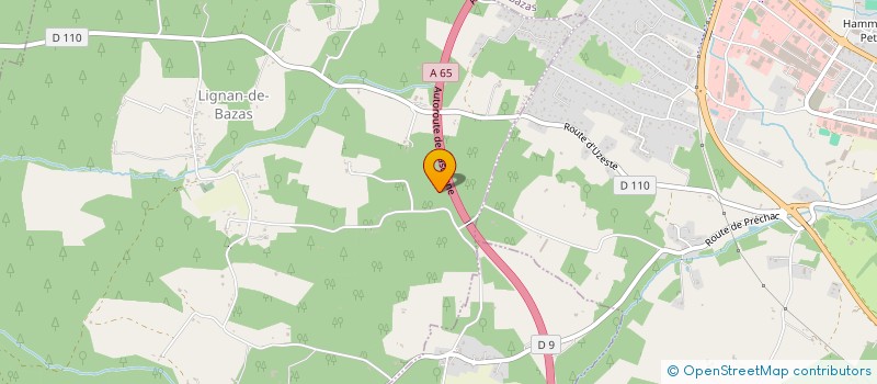 localisation de l'entreprise MADAME CAROLE LASSAGNE  LIGNAN-DE-BAZAS