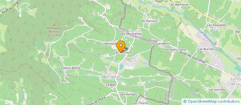 localisation de l'entreprise MADAME CAROLE MARTIN  CHENAS