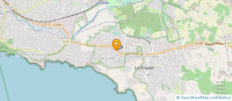 localisation de l'entreprise MADAME CAROLE MATHIS à BRIGNOLES