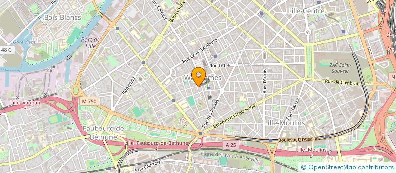 localisation de l'entreprise MADAME CAROLE NASSAR à LILLE