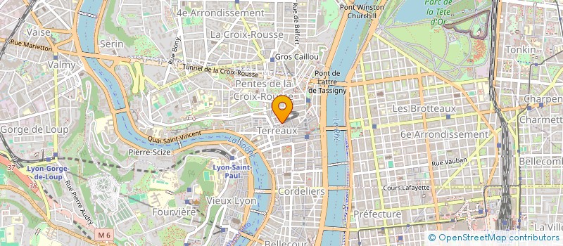 localisation de l'entreprise MADAME CAROLE PALATIN à LYON