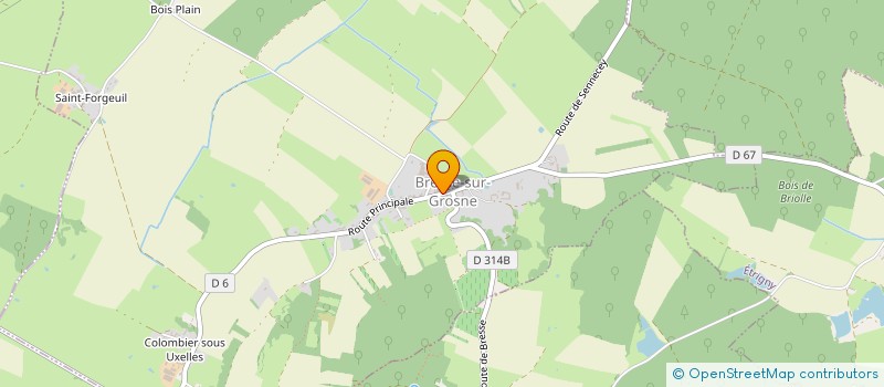 localisation de l'entreprise MADAME CAROLE PELLE  BRESSE-SUR-GROSNE