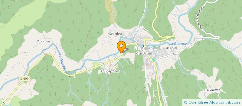 localisation de l'entreprise MADAME CAROLE POUGET  SAINT-JEAN-DU-BRUEL