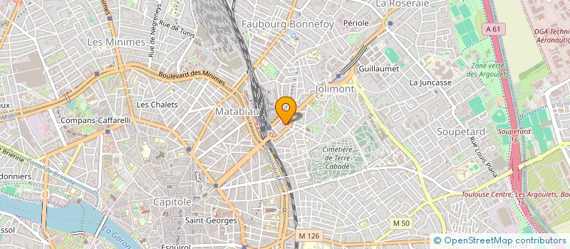 localisation de l'entreprise MADAME CAROLE PUJOL  TOULOUSE