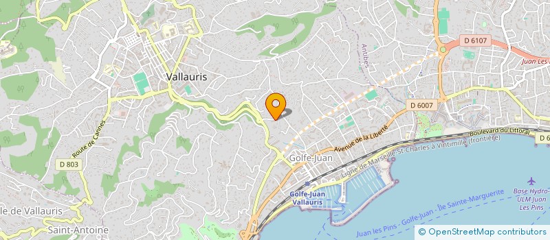 localisation de l'entreprise MADAME CAROLE VASSEUR  VALLAURIS