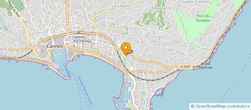 localisation de l'entreprise MADAME CAROLE VIDAL à CANNES