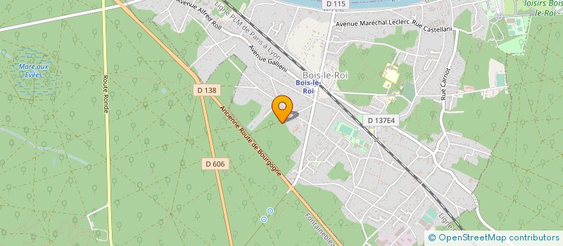 localisation de l'entreprise MADAME CAROLINA MONTOYA MEJIA  BOIS-LE-ROI