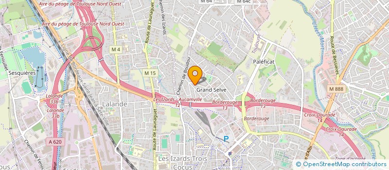 localisation de l'entreprise MADAME CAROLINA TEA  TOULOUSE