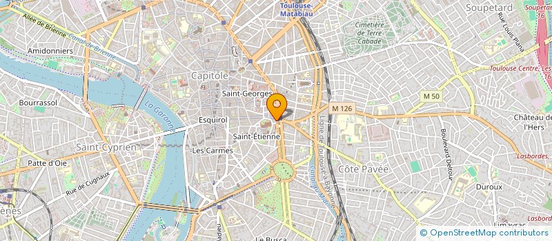 localisation de l'entreprise MADAME CAROLINE ALZIEU à TOULOUSE