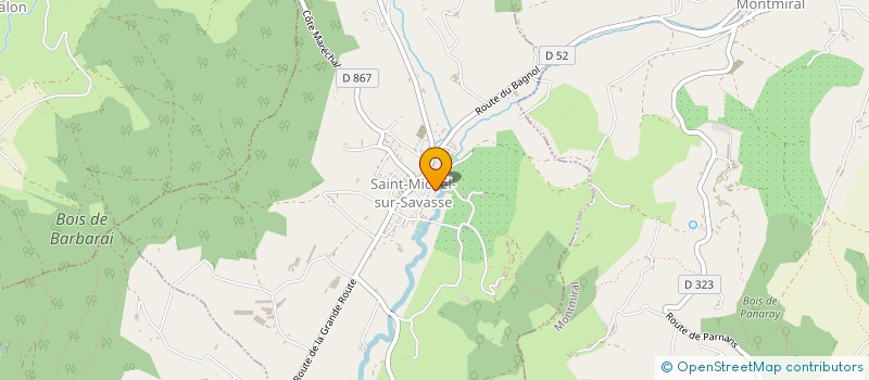 localisation de l'entreprise MADAME CAROLINE BERTHOUX  SAINT-MICHEL-SUR-SAVASSE