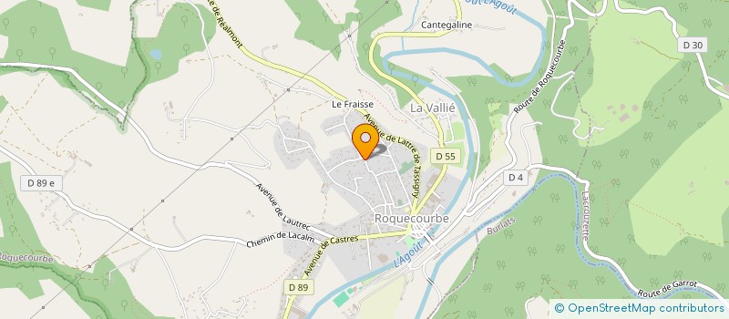 localisation de l'entreprise MADAME CAROLINE BLONDEAU  ROQUECOURBE