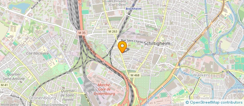 localisation de l'entreprise MADAME CAROLINE BORG  SCHILTIGHEIM