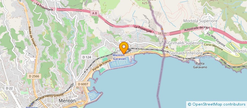 localisation de l'entreprise MADAME CAROLINE BOURSIER à MENTON