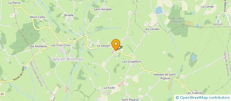 localisation de l'entreprise MADAME CAROLINE BRESSON  LIGNY-EN-BRIONNAIS